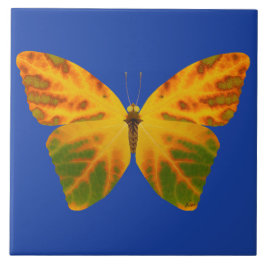 Aspen Leaf Butterfly 1