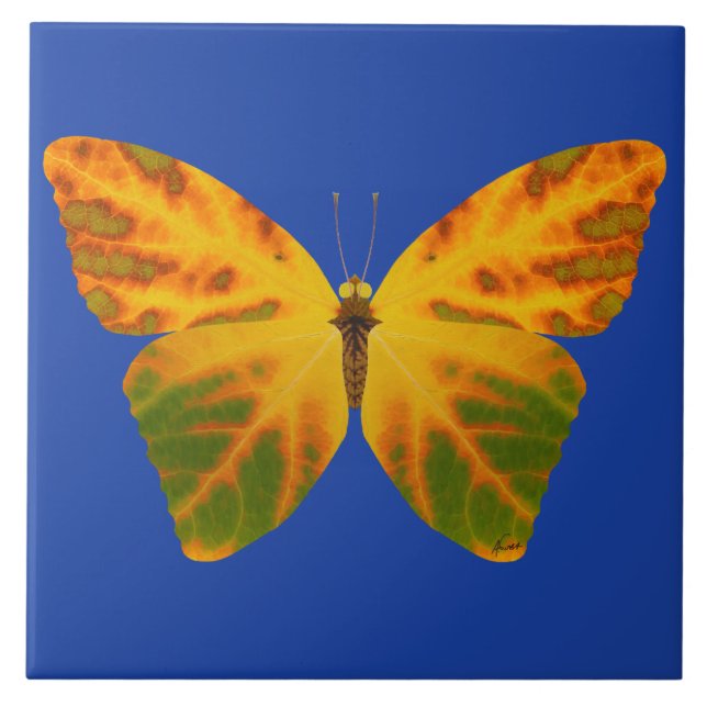 Aspen Leaf Butterfly 1 (Frente)