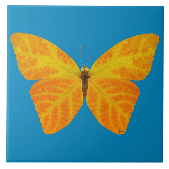 Aspen Leaf Butterfly 3 (Frente)
