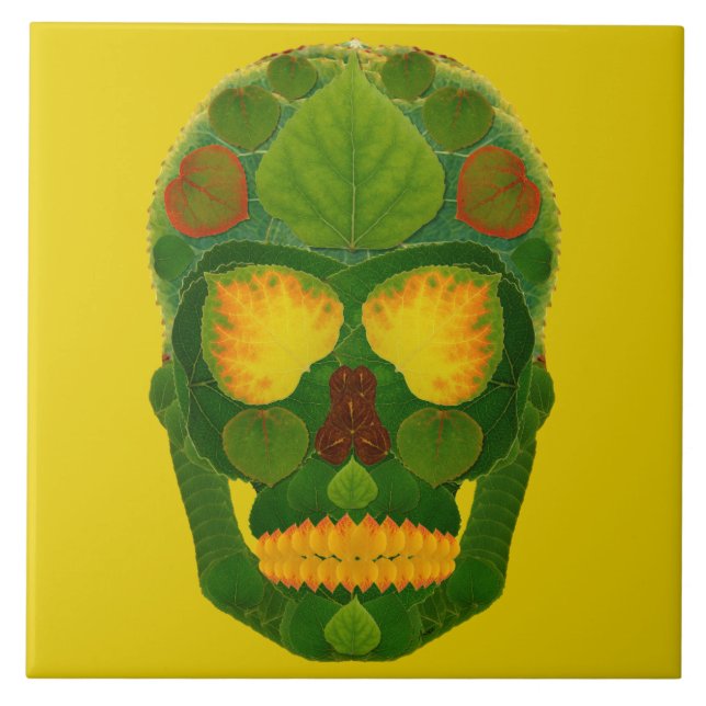 Aspen Leaf Skull 9 (Frente)