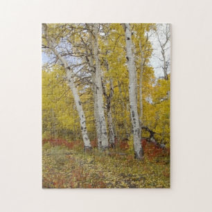 Aspen Splendor Nature Quebra-cabeça