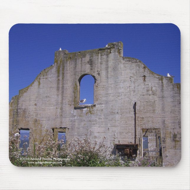 Assentamento Mousepad à terra da gaivota (Frente)