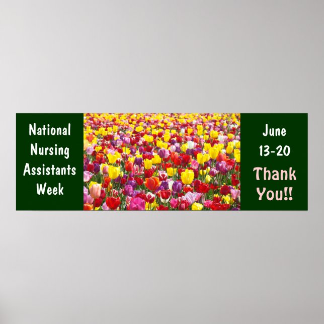 Assistentes Nacionais de Enfermagem Semana poster  (Frente)