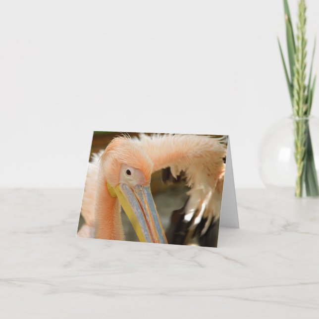 Assistindo ao Cartão de Nota Pelicano (Frente)