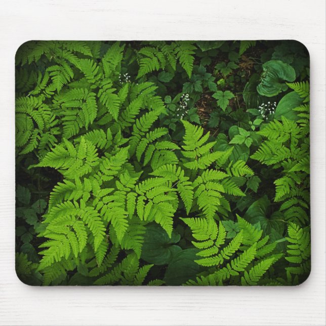 Assoalho Mousepad da floresta (Frente)