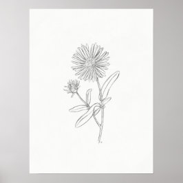 Aster Sketch Impressão