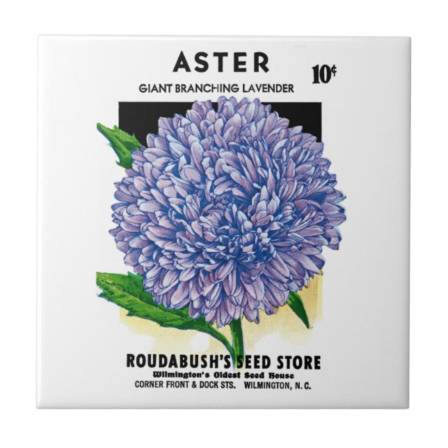 Aster Vintage Seed Packet (Frente)
