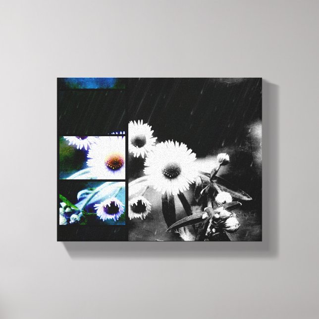 Asters Aglow Art Colllage Impressões de Canvas (Frente)