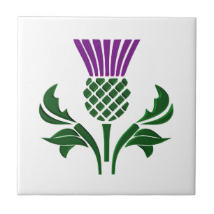 Astro de emblema escocês