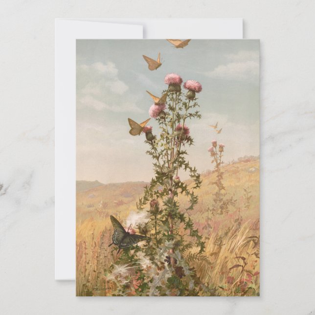 Astro | Fidelia Bridges (Frente)