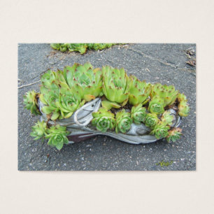 ATC de jardinagem do ~ do recipiente