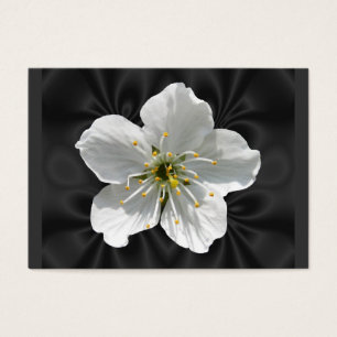 ATC do ~ da flor de cerejeira