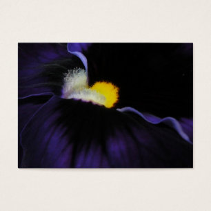ATC roxo 2 do macro da viola