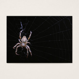 ATC transversal do ~ da aranha
