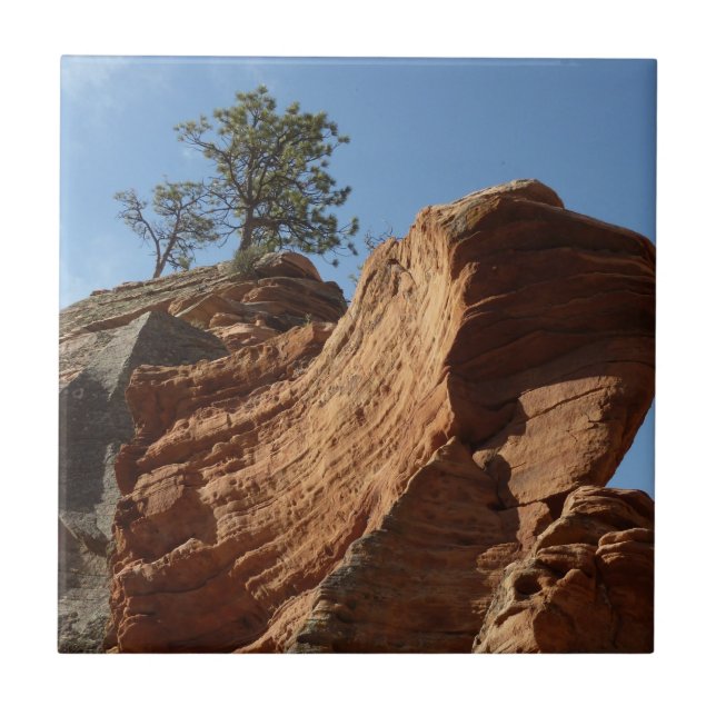 Até Angels Landing no Parque Nacional de Zion (Frente)
