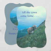 "Até que as vacas cheguem em casa"/vaca suíça/aniv