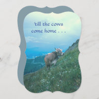 "Até que as vacas cheguem em casa"/vaca suíça/aniv