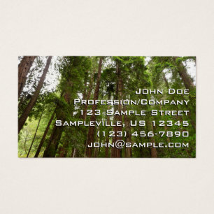 Até Sequoias Eu no Monumento Nacional de Muir Wood