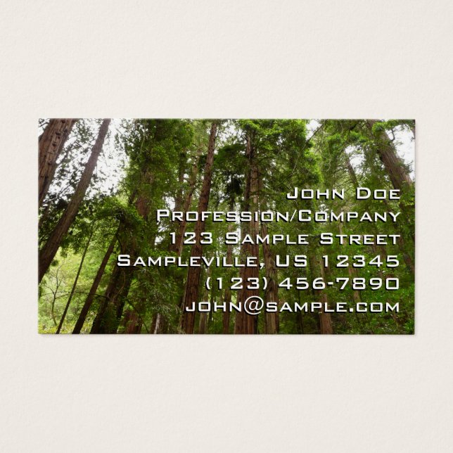 Até Sequoias Eu no Monumento Nacional de Muir Wood (Frente)