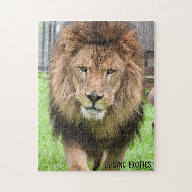 Athos - Quebra-cabeça (Vertical)