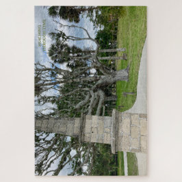 Atingindo o tempo - Quebra-cabeça de Ember silenci