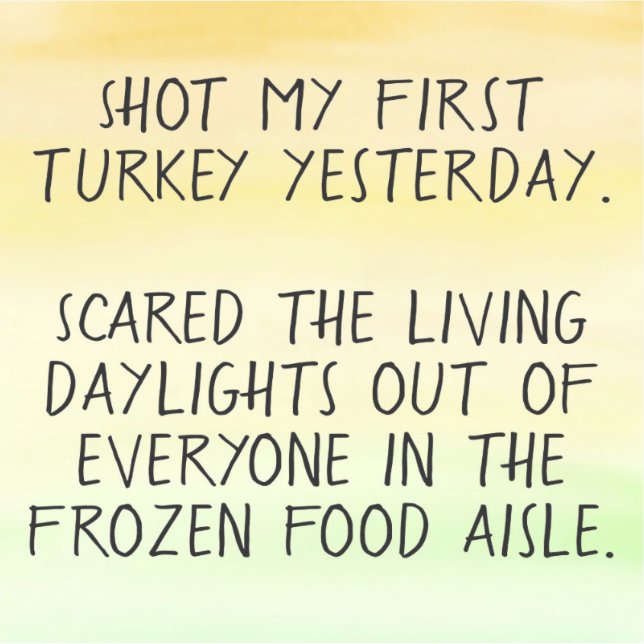 Atirou no meu primeiro adesivo engraçado para-choq (Frente)