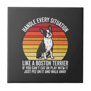 Atitude de Cachorro Retro Engraçado Boston Terrier