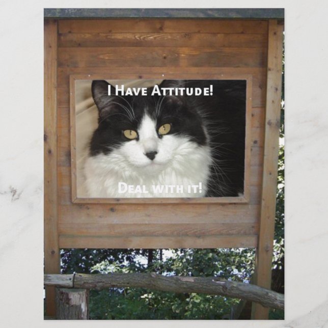 Atitude de Cat (Frente)