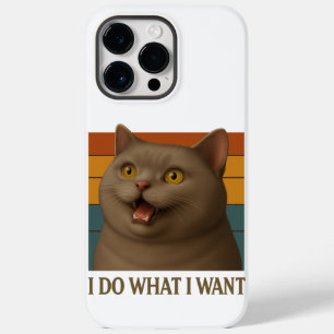 Atitude de Cat Retroativa