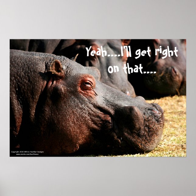 Atitude de Hippo "Eu vou acertar nisso" poster (Frente)