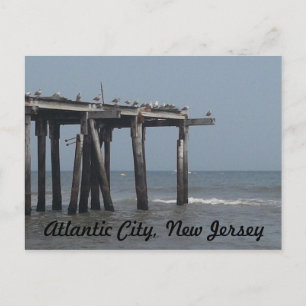 Atlantic City Beach com cartão postal de aves