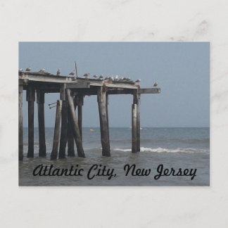 Atlantic City Beach com cartão postal de aves