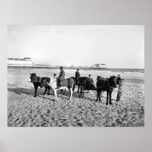 Atlantic City New Jersey Pony Rides Poster