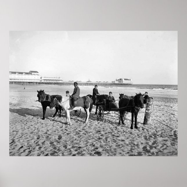 Atlantic City New Jersey Pony Rides Poster (Frente)