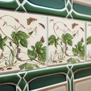 Atlas de Plantas Botânicas e Insetos Vintage