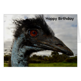 Atração Australiana Emu, Cartão de Aniversário