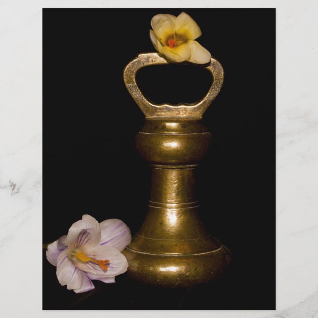 Atração Floral (Frente)