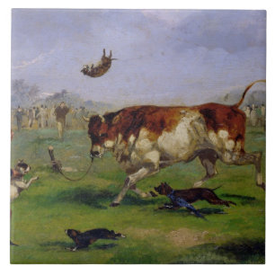 Atracção de Bull (óleo no papel colocado no