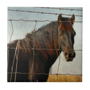 Atrás da cerca, cavalo abstrato