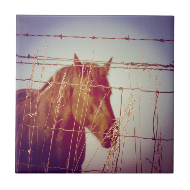 Atrás do Abstrato de cerca (Frente)