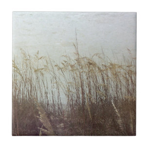 Através das Dunas II