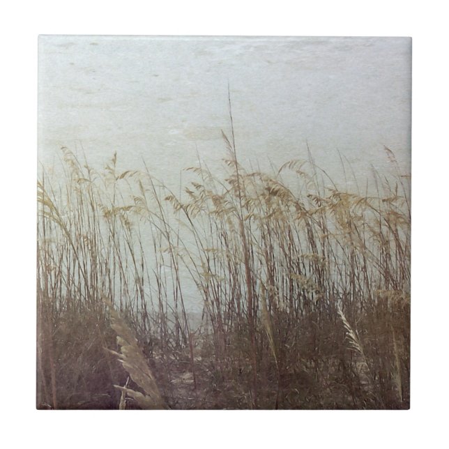 Através das Dunas II (Frente)