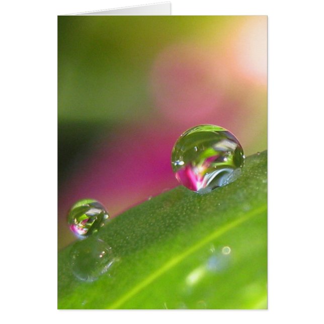 Através do cartão do espelho (Frente)