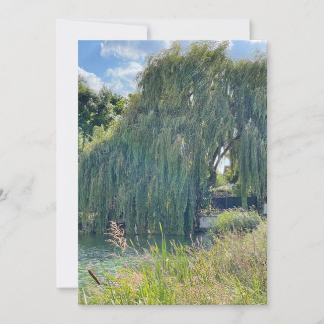 Au bord du lac (Frente)