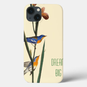 Áudio: Warbler