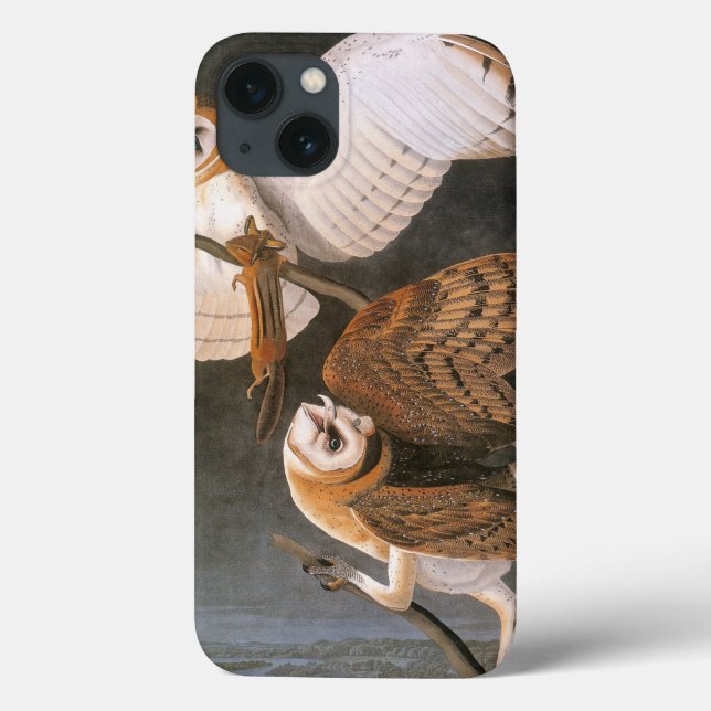 Audubon: Barn Owl (Verso)