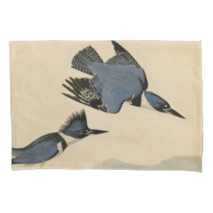 Audubon Belfisher Kingfisher Wildlife Bird