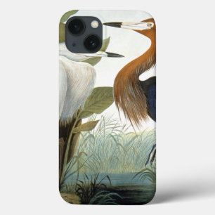 Audubon: Egret avermelhado ou garça-real roxa