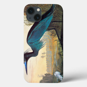 Audubon: Garça-real de azul pequeno