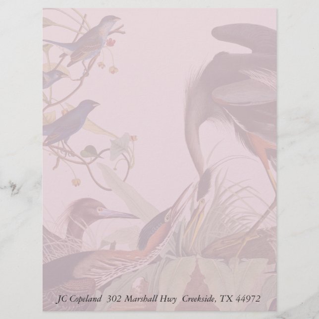 Audubon Heron Birds Collage Stationery Letterhead (Frente)